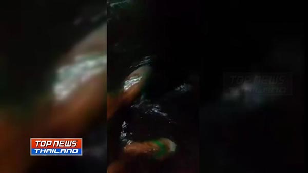 น้ำเข้าเรือเฟอร์รี่ น้ำเข้าเรือเฟอร์รี่