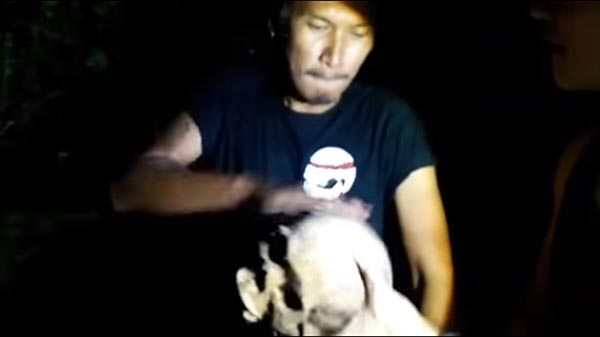 ตบกะโหลกศพ ตบกะโหลกศพ