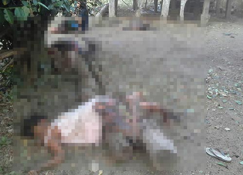 กระสุนด้านระเบิด กระสุนด้านระเบิด