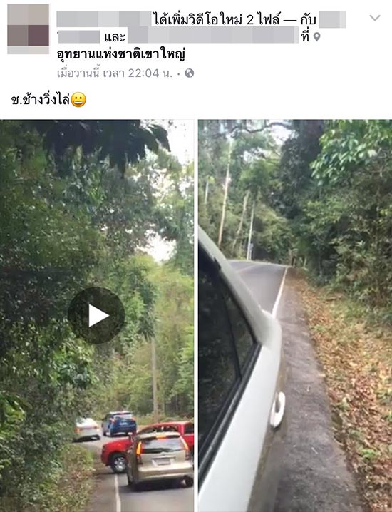 ตะโกนแกล้งช้าง ตะโกนแกล้งช้าง