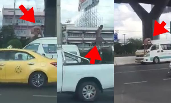 ชายเปลือยกาย ชายเปลือยกาย