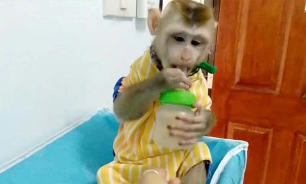 ทอมค้ายา ทอมค้ายา