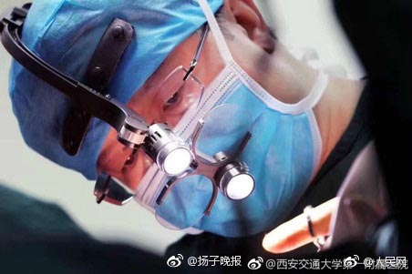 ปลูกถ่ายอวัยวะ ปลูกถ่ายอวัยวะ