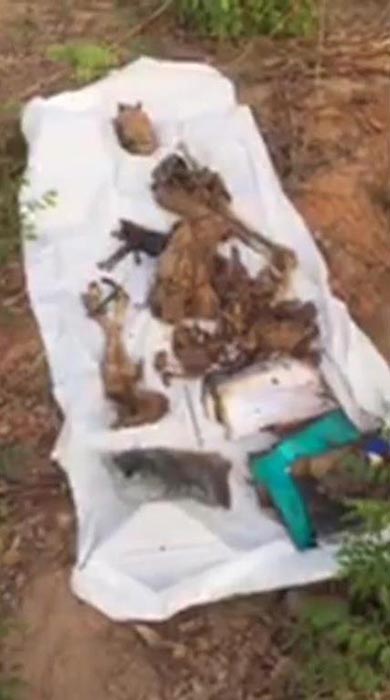 ฆ่าเผาฝังดิน ฆ่าเผาฝังดิน