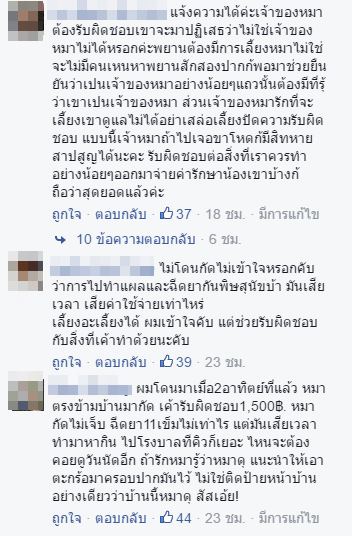 หมารุมกัดเด็ก หมารุมกัดเด็ก