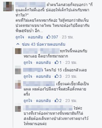 หมารุมกัดเด็ก หมารุมกัดเด็ก