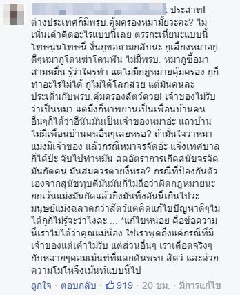 หมารุมกัดเด็ก หมารุมกัดเด็ก