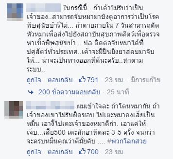 หมารุมกัดเด็ก หมารุมกัดเด็ก