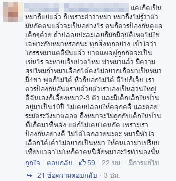 หมารุมกัดเด็ก หมารุมกัดเด็ก