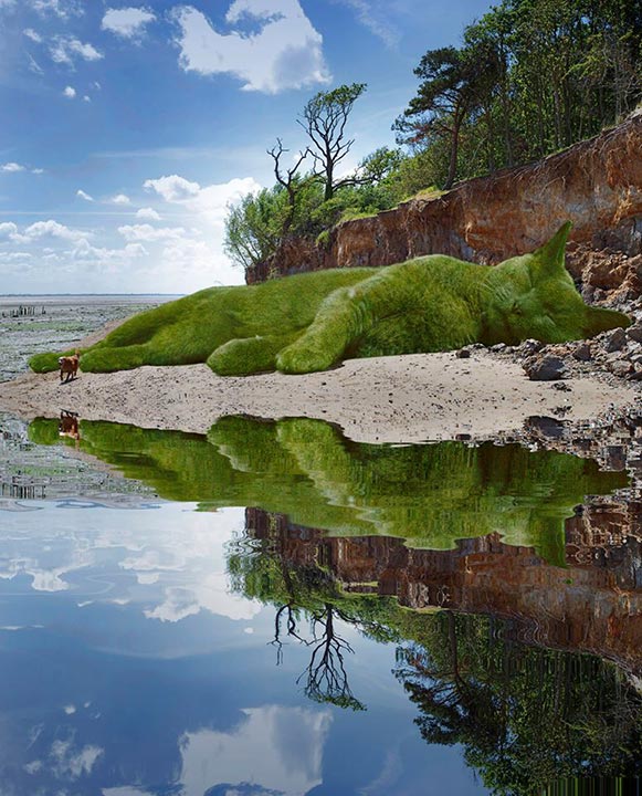 แต่งภาพแมวเป็นพุ่มไม้ แต่งภาพแมวเป็นพุ่มไม้