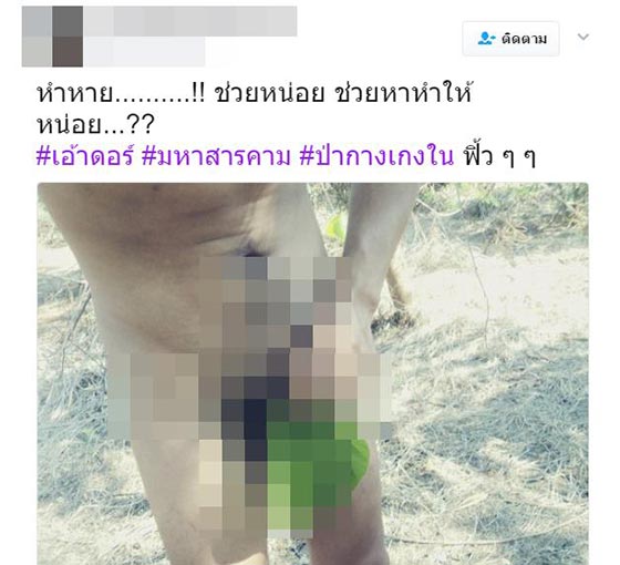 ป่ากางเกงใน ป่ากางเกงใน