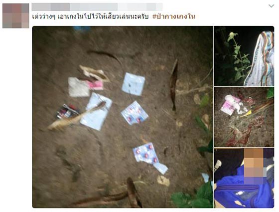 ป่ากางเกงใน ป่ากางเกงใน