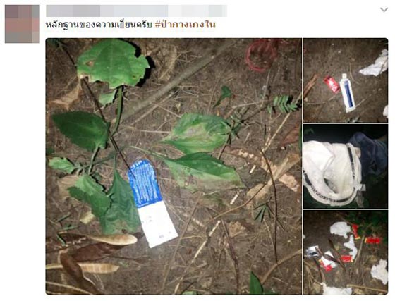 ป่ากางเกงใน ป่ากางเกงใน