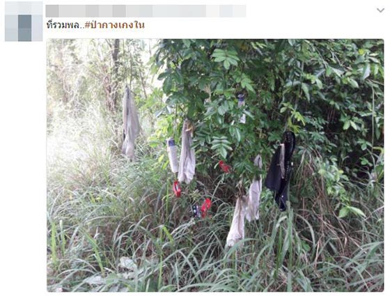 ป่ากางเกงใน ป่ากางเกงใน