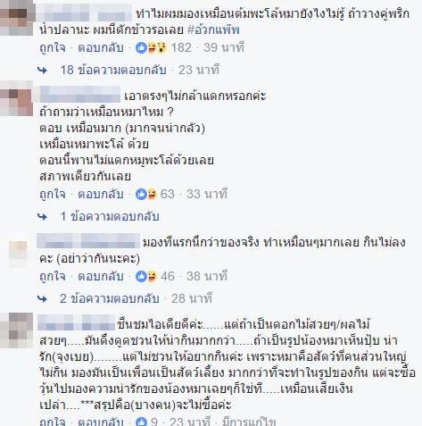 วุ้นกะทิน้องหมา วุ้นกะทิน้องหมา