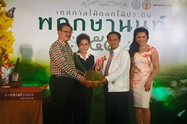 ทุเรียนเมืองนนท์ ทุเรียนเมืองนนท์