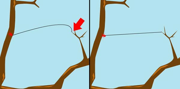 ใยแมงมุม ใยแมงมุม