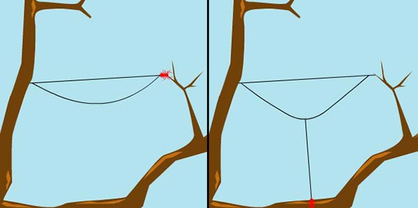 ใยแมงมุม ใยแมงมุม