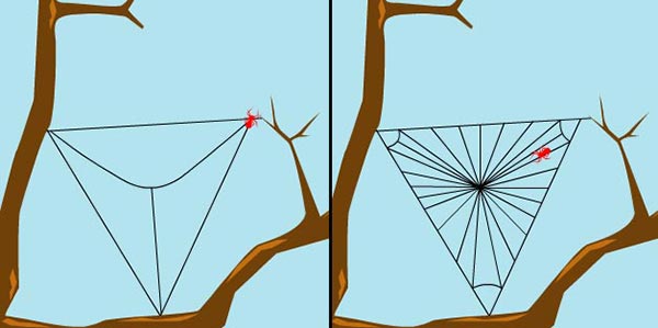 ใยแมงมุม ใยแมงมุม