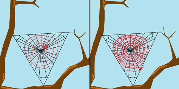 ใยแมงมุม ใยแมงมุม