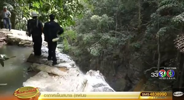 พอล นิโคลส์ พอล นิโคลส์