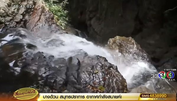 พอล นิโคลส์ พอล นิโคลส์