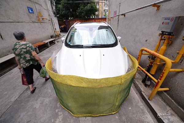 หนูบุกเมือง หนูบุกเมือง