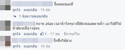 ตัวเพรียง ตัวเพรียง