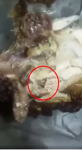 คลิปไก่ย่างวิเชียรบุรีหนอนขึ้น คลิปไก่ย่างวิเชียรบุรีหนอนขึ้น