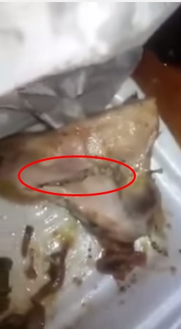 คลิปไก่ย่างวิเชียรบุรีหนอนขึ้น คลิปไก่ย่างวิเชียรบุรีหนอนขึ้น