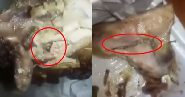 คลิปไก่ย่างวิเชียรบุรีหนอนขึ้น คลิปไก่ย่างวิเชียรบุรีหนอนขึ้น