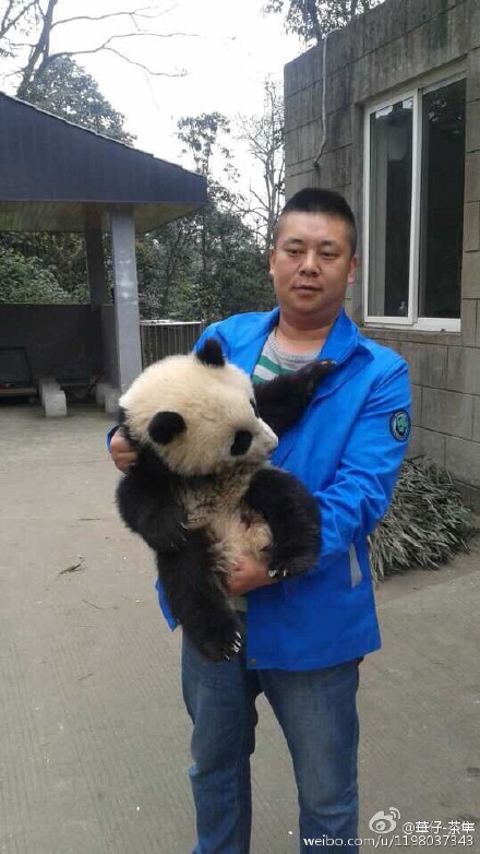 จับนกใกล้สูญพันธุ์กิน จับนกใกล้สูญพันธุ์กิน