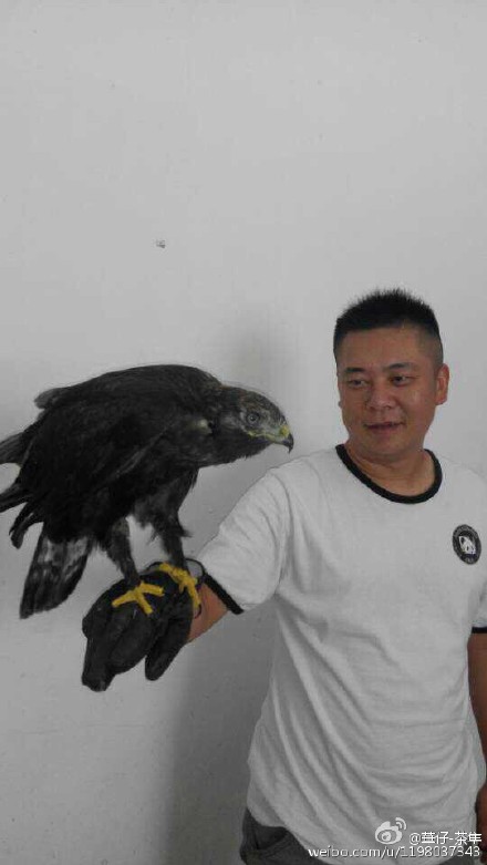 จับนกใกล้สูญพันธุ์กิน จับนกใกล้สูญพันธุ์กิน