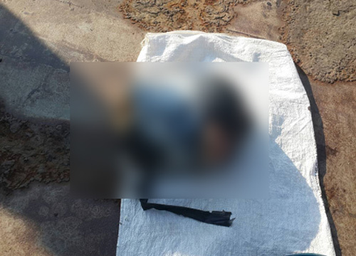 ชิ้นส่วนมนุษย์ ชิ้นส่วนมนุษย์