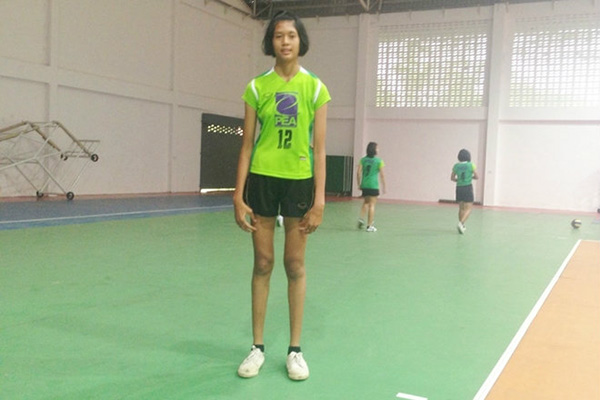 นักวอลเลย์บอลรุ่นเล็ก นักวอลเลย์บอลรุ่นเล็ก