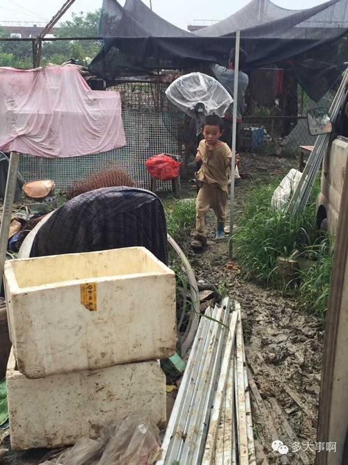 เด็กถูกขังกรง เด็กถูกขังกรง