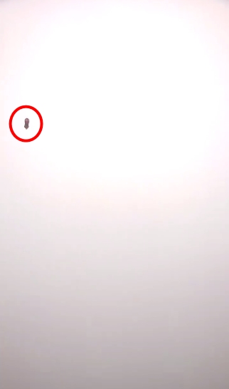 โชว์ขว้างขวด โชว์ขว้างขวด