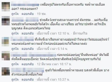 ปล่อยเต่าบกลงน้ำ ปล่อยเต่าบกลงน้ำ