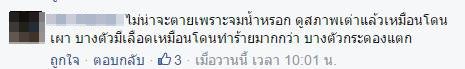 ปล่อยเต่าบกลงน้ำ ปล่อยเต่าบกลงน้ำ