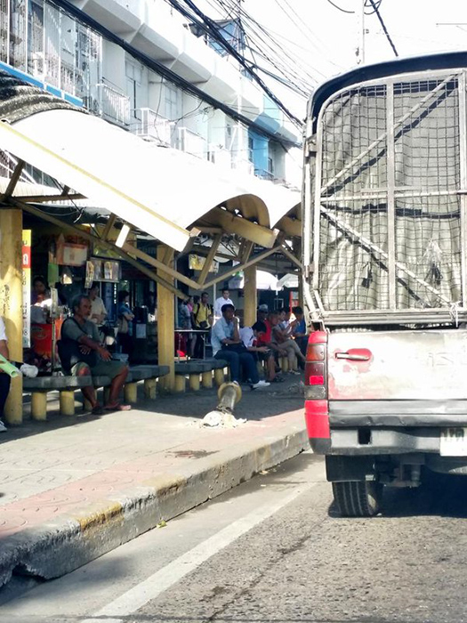 ป้ายรถเมล์ รามอินทรา กม.7 เสี่ยงพัง ป้ายรถเมล์ รามอินทรา กม.7 เสี่ยงพัง