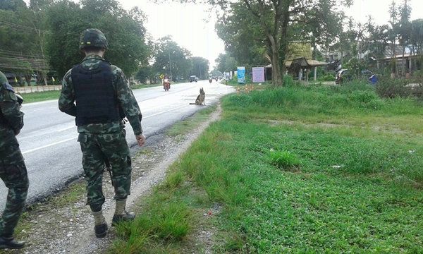 สุนัขทหาร สุนัขทหาร