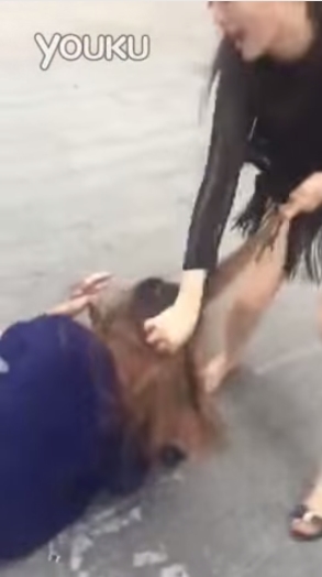 เมียหลวงตบเมียน้อย เมียหลวงตบเมียน้อย