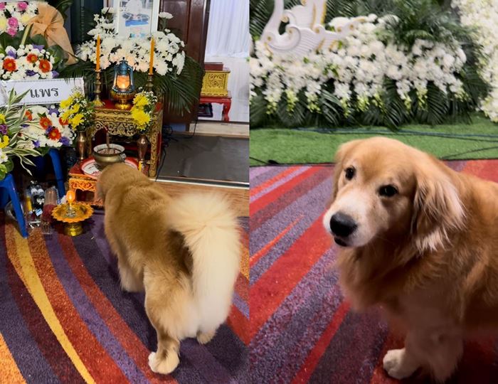 นักเรียนเสียชีวิต นักเรียนเสียชีวิต