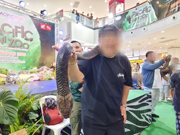 ดราม่าโชว์สัตว์ ดราม่าโชว์สัตว์