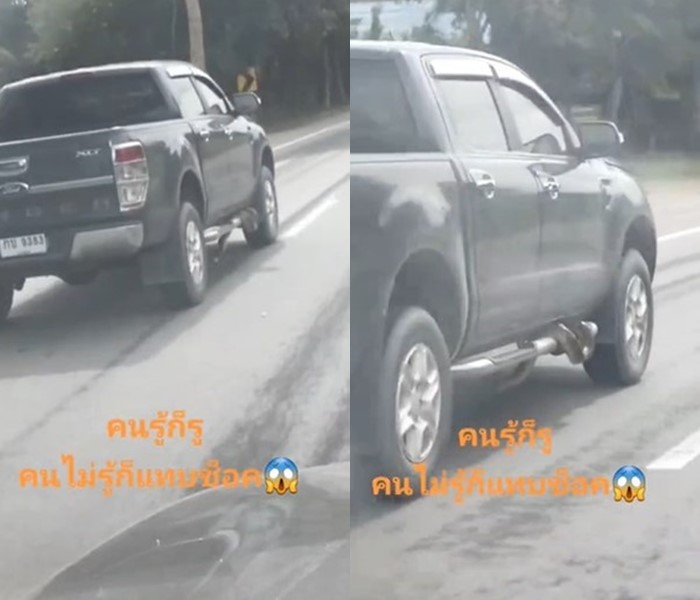 งูขึ้นรถ งูขึ้นรถ