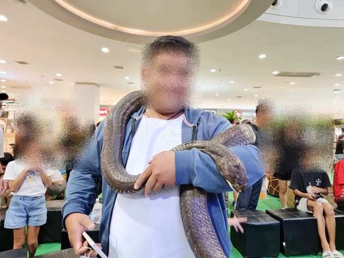 ดราม่าโชว์สัตว์ ดราม่าโชว์สัตว์