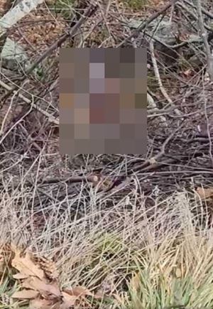 ภรรยาตกหน้าผา ภรรยาตกหน้าผา