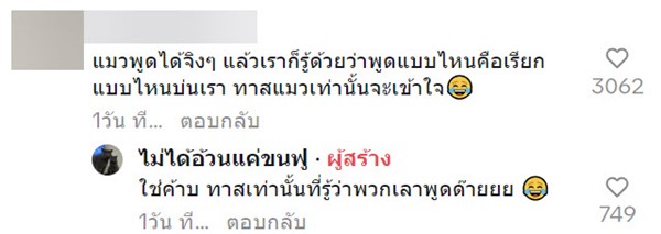 แมวพูด แมวพูด
