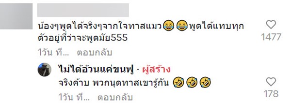 แมวพูด แมวพูด