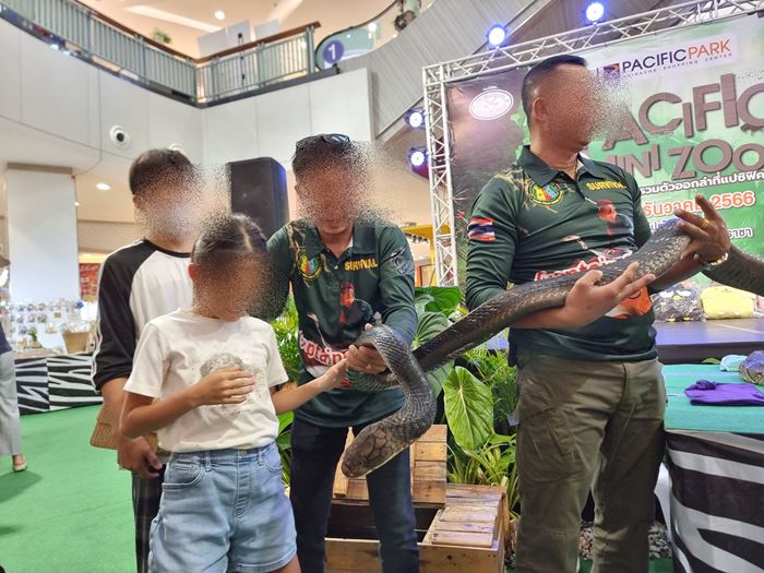 ดราม่าโชว์สัตว์ ดราม่าโชว์สัตว์